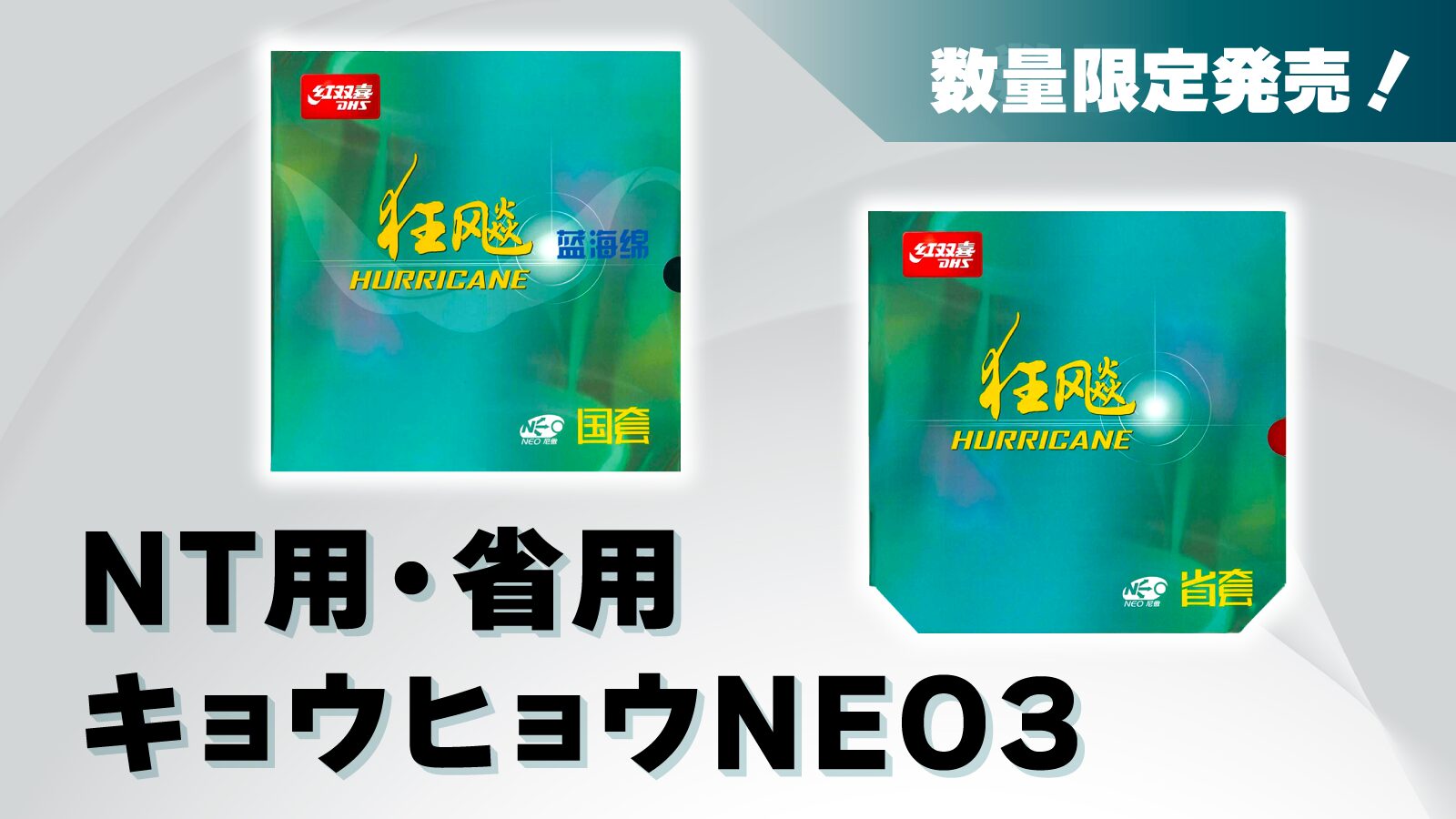 数量限定発売！NT用・省用キョウヒョウネオ3 | Nittaku(ニッタク