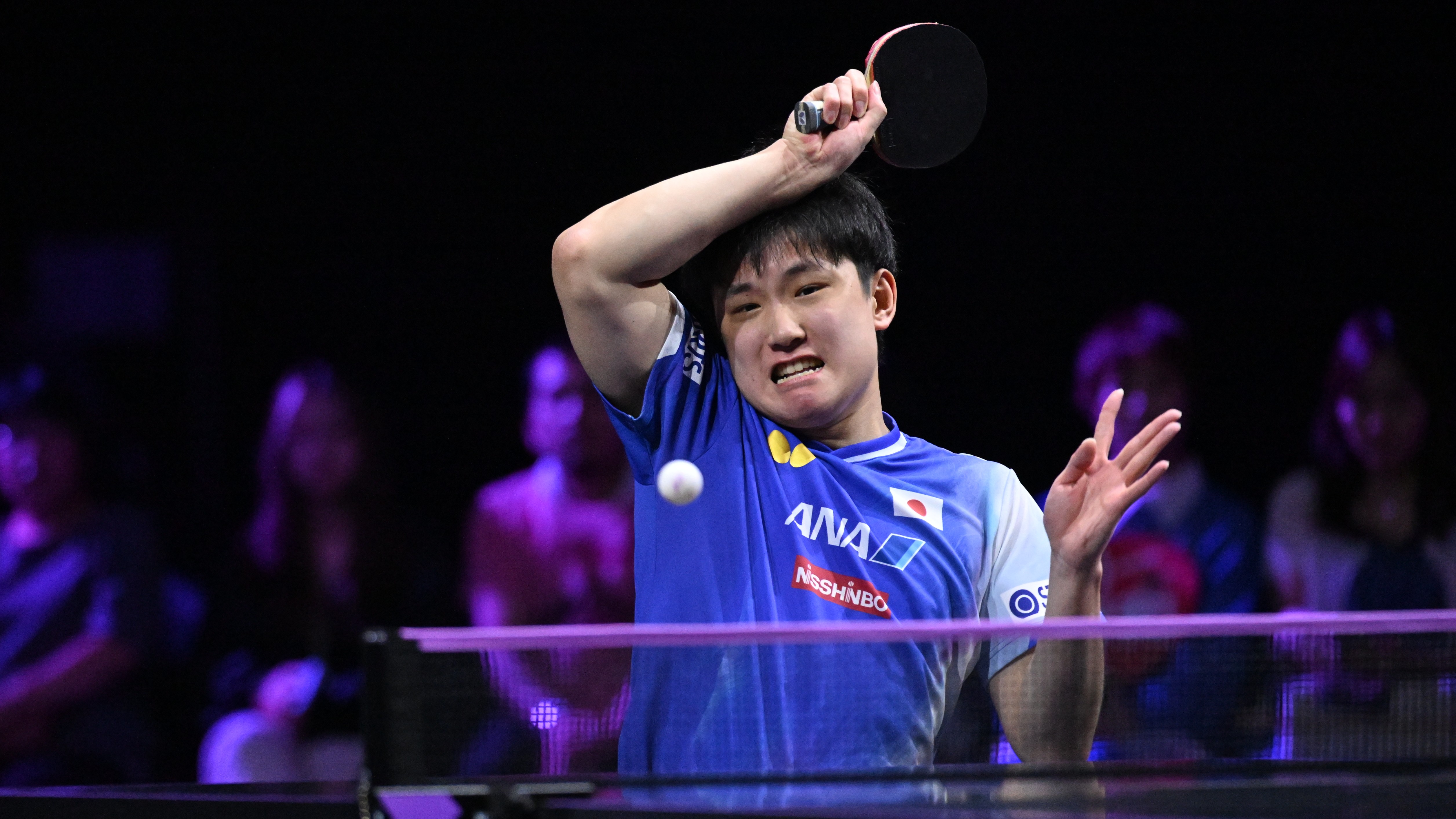 894b50672fc3b29dd622409f37d58b